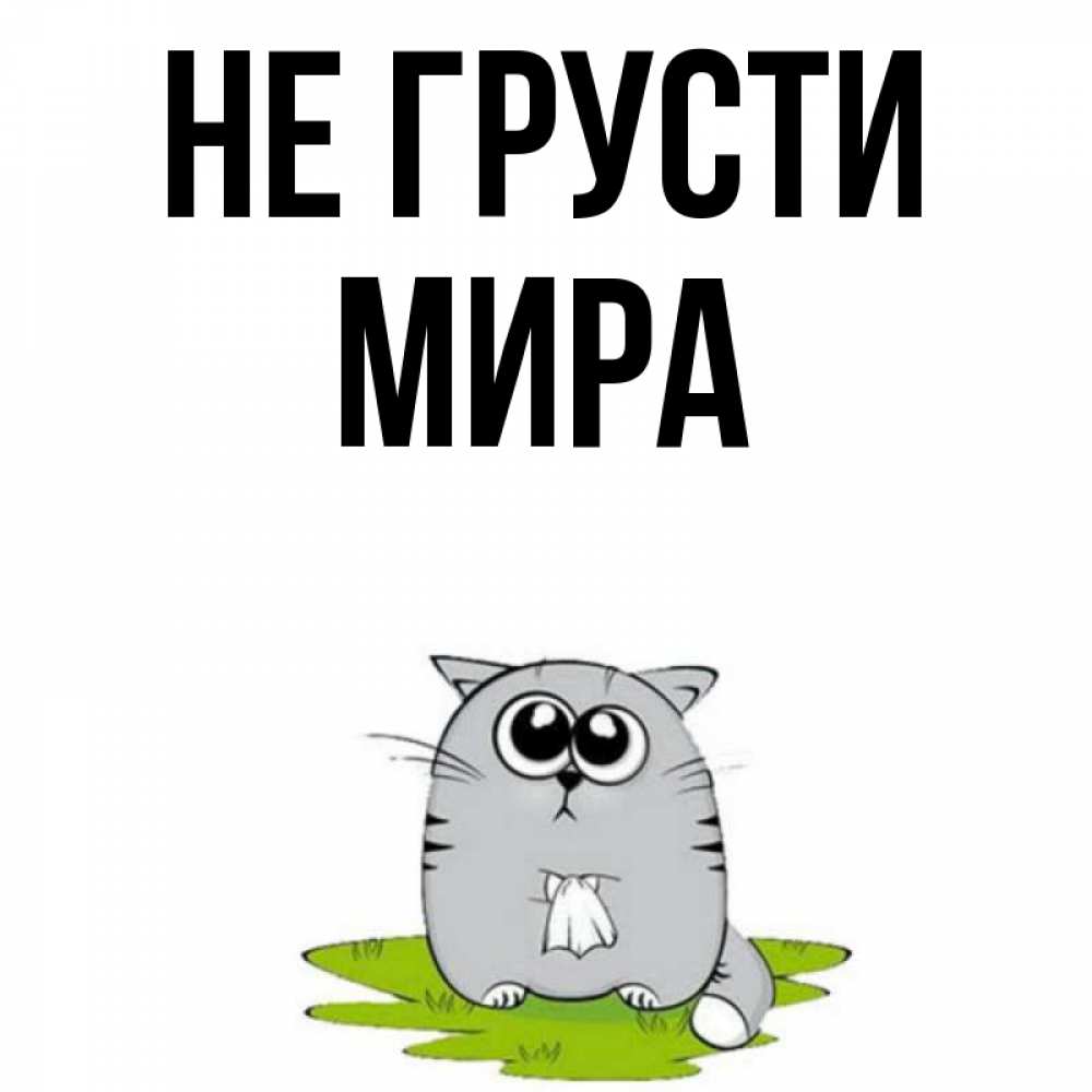 Открытка на каждый день с именем, Мира Не грусти грустный котяра Прикольная открытка с пожеланием онлайн скачать бесплатно 