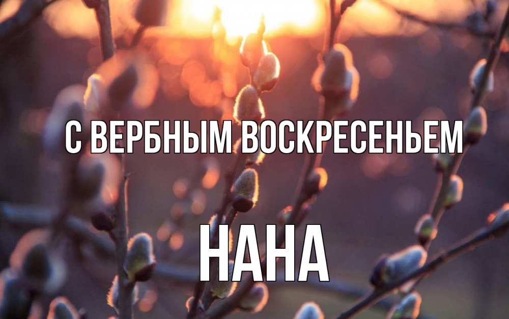 Открытка на каждый день с именем, Нана С вербным воскресеньем верба Прикольная открытка с пожеланием онлайн скачать бесплатно 