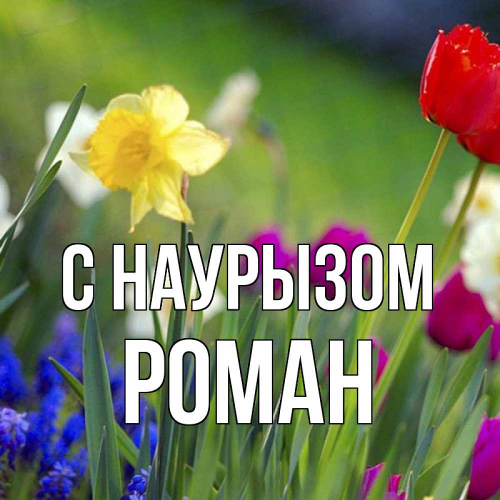 Открытка на каждый день с именем, Роман С наурызом праздник весны наурыз 3 Прикольная открытка с пожеланием онлайн скачать бесплатно 