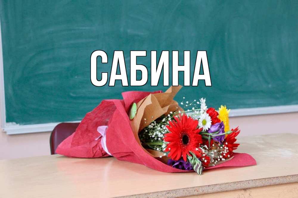 Открытка на каждый день с именем, Сабина Главная школа с днем учителя Прикольная открытка с пожеланием онлайн скачать бесплатно 