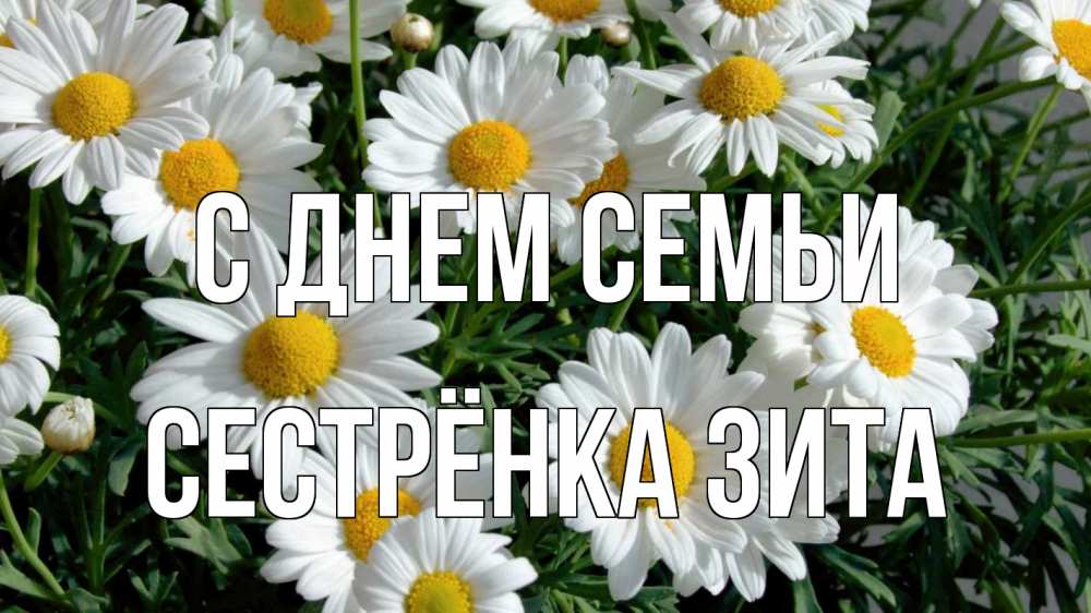 Открытка на каждый день с именем, Сестрёнка-Зита С днем семьи с днем семьи Прикольная открытка с пожеланием онлайн скачать бесплатно 