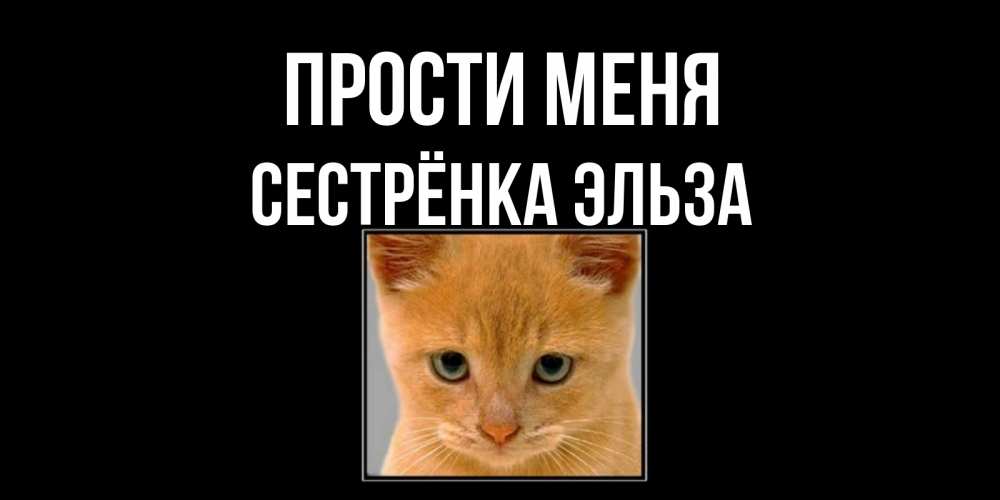 Открытка на каждый день с именем, Сестрёнка-Эльза Прости меня рыжий грустный кот просит прощения Прикольная открытка с пожеланием онлайн скачать бесплатно 