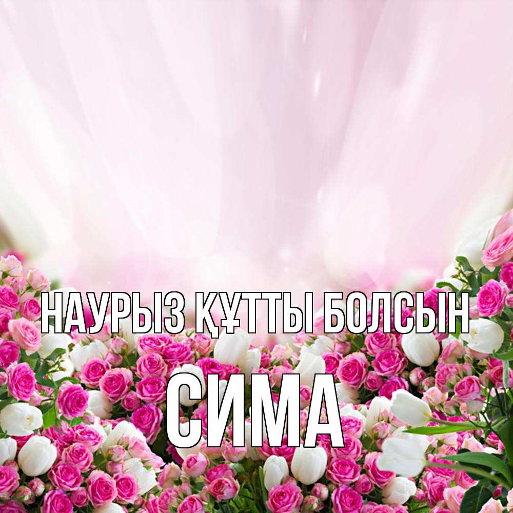 Открытка на каждый день с именем, Сима Наурыз құтты болсын под снегом Прикольная открытка с пожеланием онлайн скачать бесплатно 