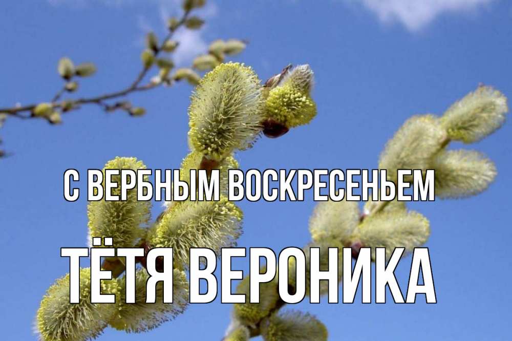 Открытка на каждый день с именем, Тётя-Вероника С вербным воскресеньем верба Прикольная открытка с пожеланием онлайн скачать бесплатно 