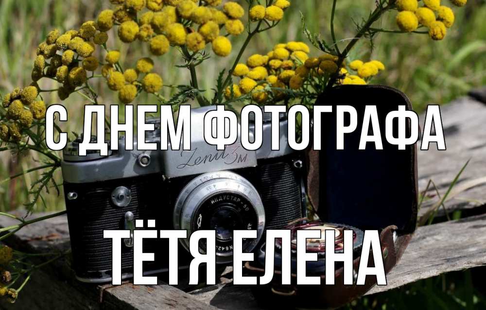 Открытка на каждый день с именем, Тётя-Елена С днем фотографа с днем фотографа Прикольная открытка с пожеланием онлайн скачать бесплатно 