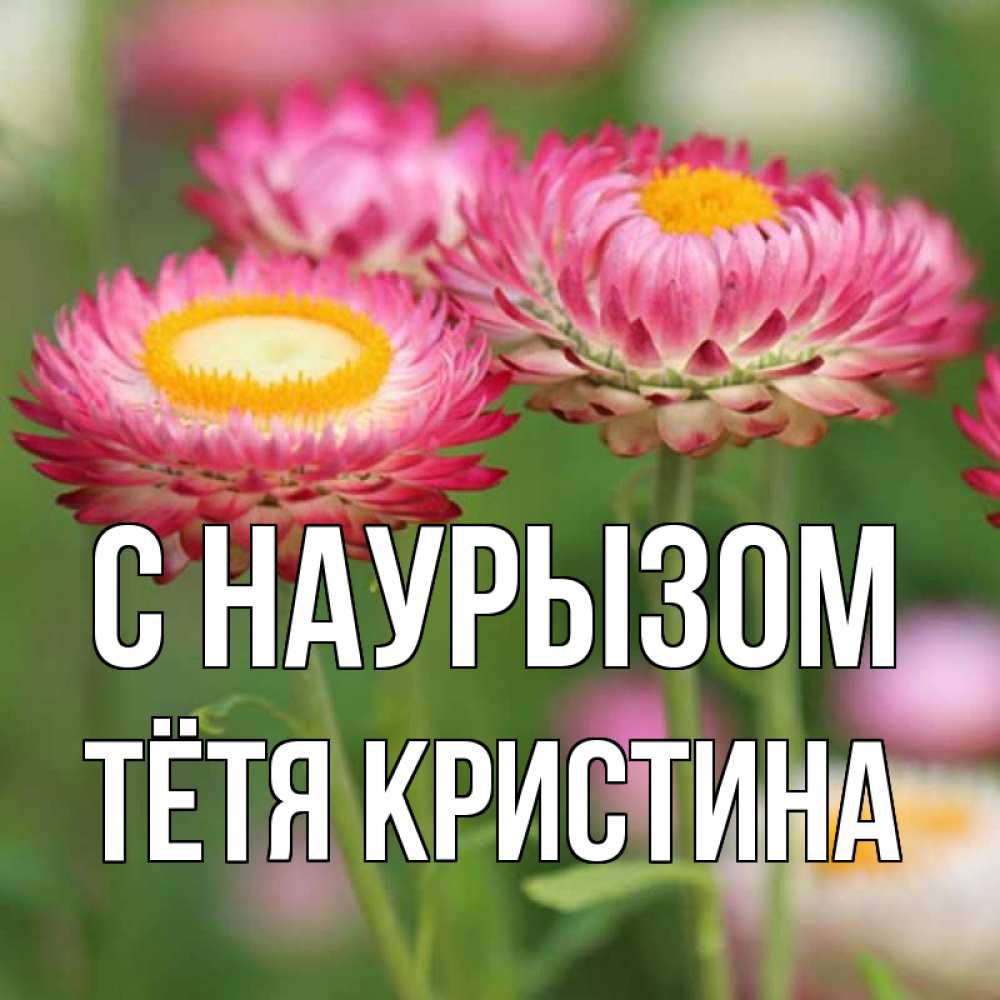 Открытка на каждый день с именем, Тётя-Кристина С наурызом подарок на международный женский день Прикольная открытка с пожеланием онлайн скачать бесплатно 
