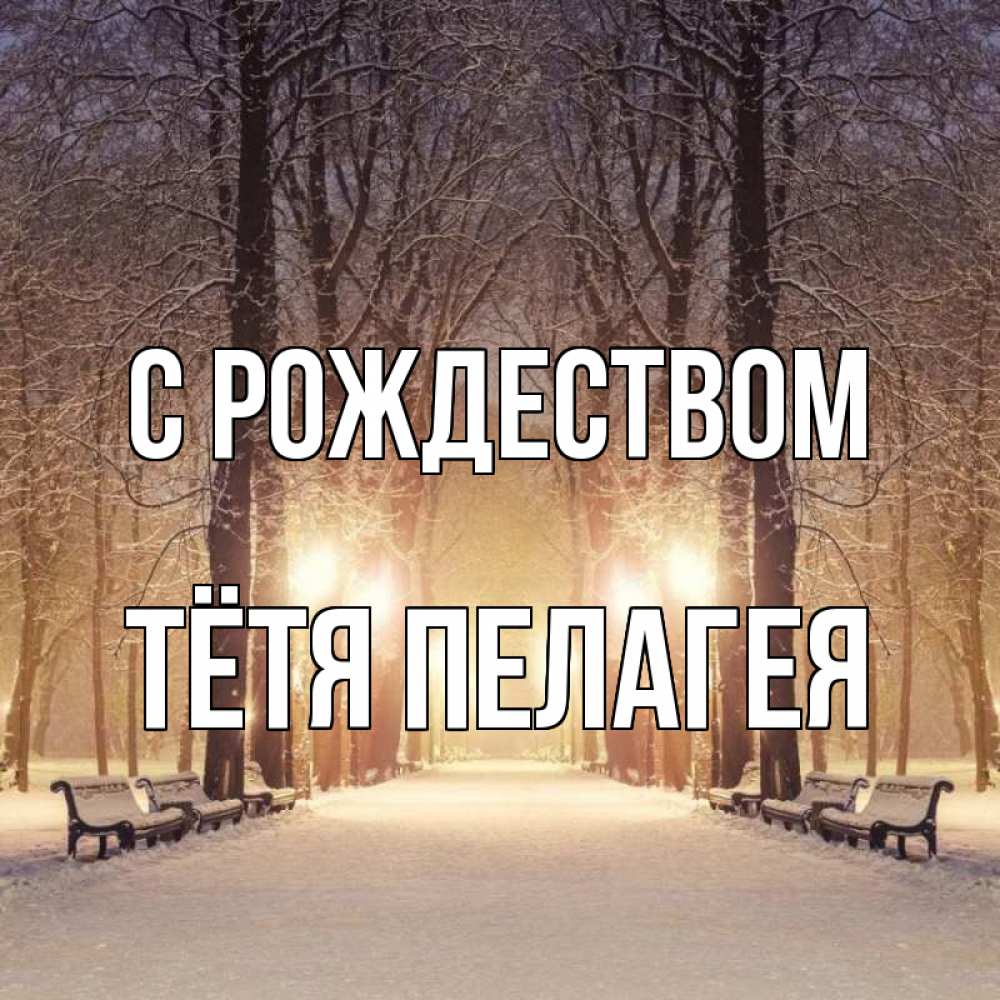 Открытка на каждый день с именем, Тётя-Пелагея С рождеством зима, парк, фонарь, лес Прикольная открытка с пожеланием онлайн скачать бесплатно 