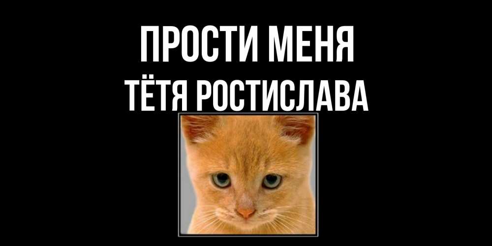 Открытка на каждый день с именем, Тётя-Ростислава Прости меня рыжий грустный кот просит прощения Прикольная открытка с пожеланием онлайн скачать бесплатно 