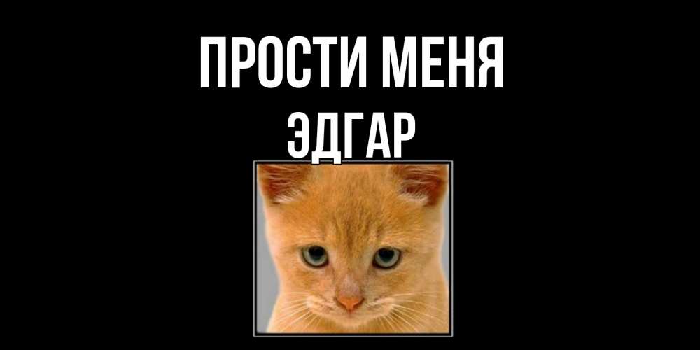 Открытка на каждый день с именем, Эдгар Прости меня рыжий грустный кот просит прощения Прикольная открытка с пожеланием онлайн скачать бесплатно 