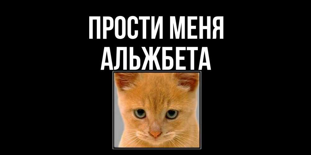 Открытка на каждый день с именем, Альжбета Прости меня рыжий грустный кот просит прощения Прикольная открытка с пожеланием онлайн скачать бесплатно 
