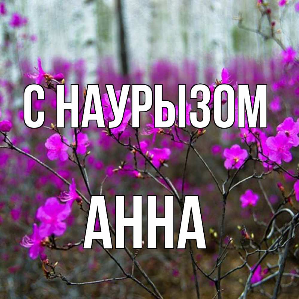 Открытка на каждый день с именем, Анна С наурызом дикие цветы Прикольная открытка с пожеланием онлайн скачать бесплатно 