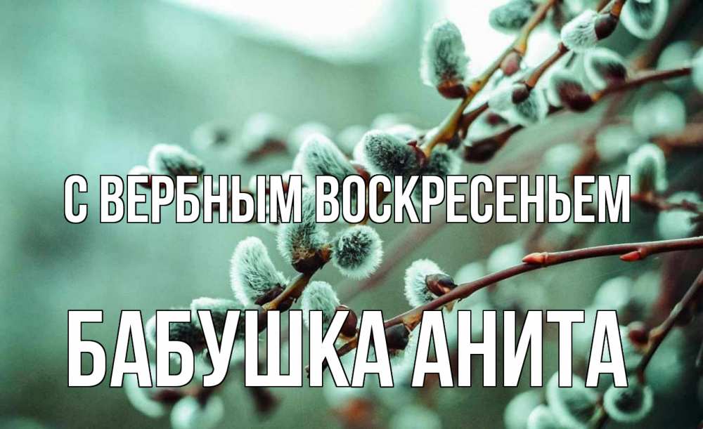 Открытка на каждый день с именем, Бабушка-Анита С вербным воскресеньем верба Прикольная открытка с пожеланием онлайн скачать бесплатно 