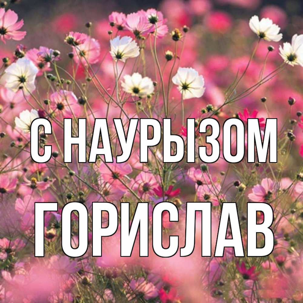 Открытка на каждый день с именем, Горислав С наурызом красиво 1 Прикольная открытка с пожеланием онлайн скачать бесплатно 