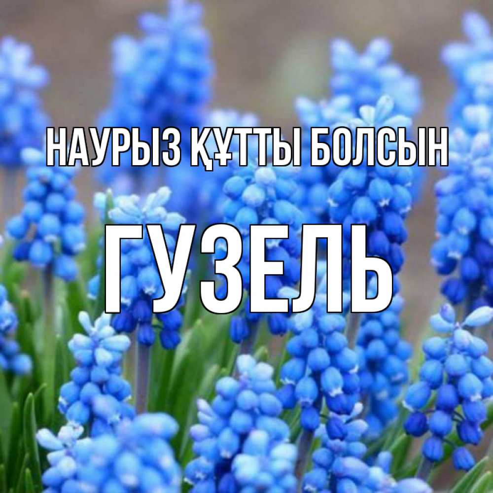 Открытка на каждый день с именем, Гузель Наурыз құтты болсын Поздравительная открытка для женщин с цветами на праздничную дату Прикольная открытка с пожеланием онлайн скачать бесплатно 