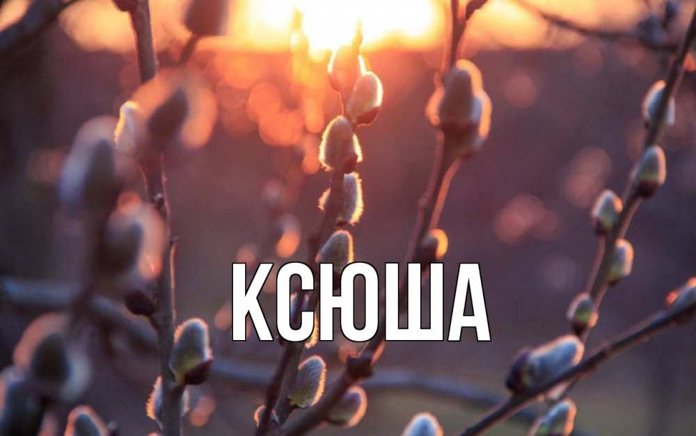 Открытка на каждый день с именем, Ксюша Главная верба Прикольная открытка с пожеланием онлайн скачать бесплатно 