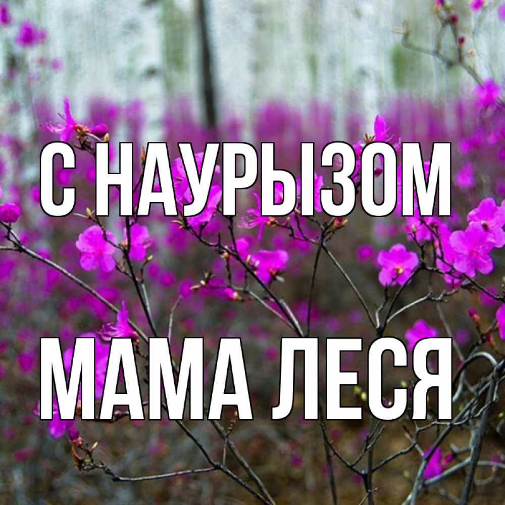 Открытка на каждый день с именем, Мама-Леся С наурызом дикие цветы Прикольная открытка с пожеланием онлайн скачать бесплатно 