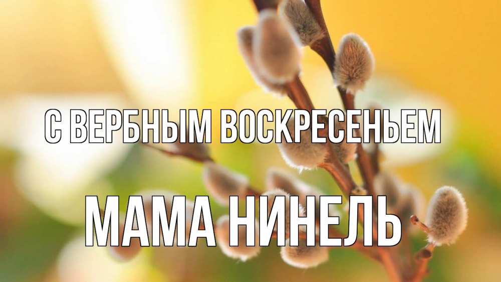 Открытка на каждый день с именем, Мама-Нинель С вербным воскресеньем верба 1 Прикольная открытка с пожеланием онлайн скачать бесплатно 
