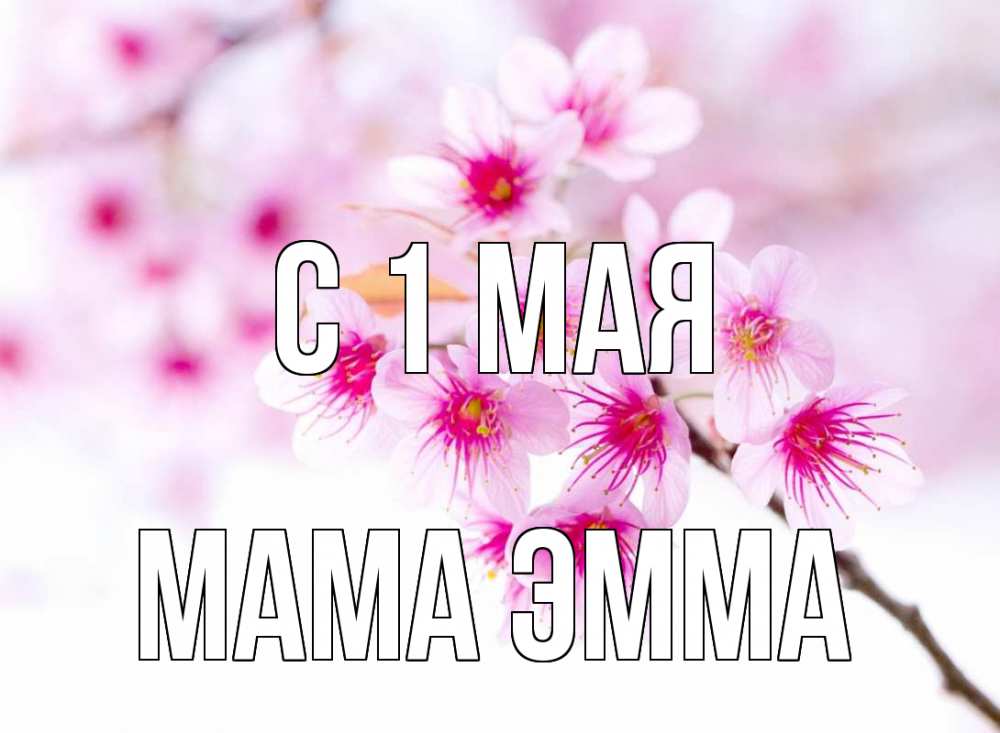 Открытка на каждый день с именем, Мама-Эмма С 1 мая С 1 мая 2 Прикольная открытка с пожеланием онлайн скачать бесплатно 
