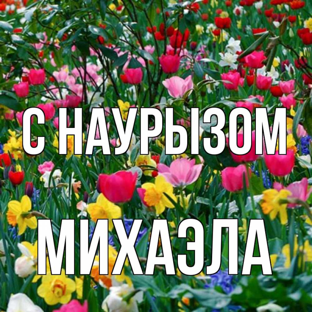 Открытка на каждый день с именем, Михаэла С наурызом с наурызом праздником весны поздравления для женщины Прикольная открытка с пожеланием онлайн скачать бесплатно 