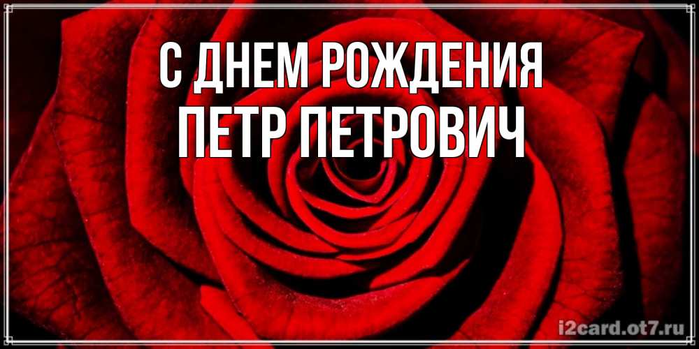 Открытка на каждый день с именем, Петр-Петрович С днем рождения алая роза Прикольная открытка с пожеланием онлайн скачать бесплатно 