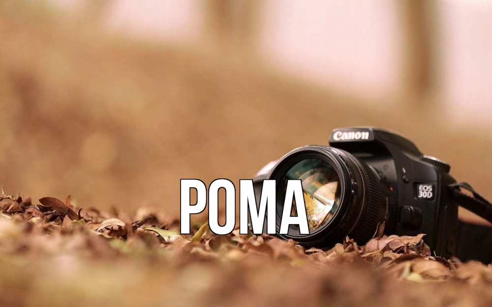 Открытка на каждый день с именем, Рома Главная с днем фотографа Прикольная открытка с пожеланием онлайн скачать бесплатно 