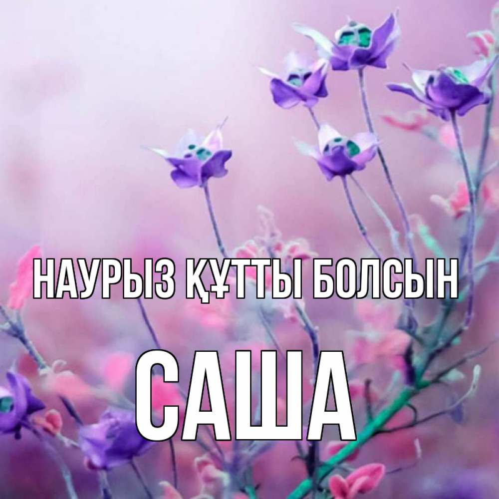 Открытка на каждый день с именем, Саша Наурыз құтты болсын наурыз  2 Прикольная открытка с пожеланием онлайн скачать бесплатно 