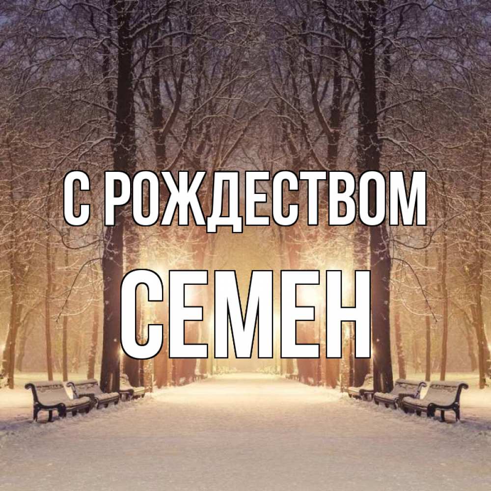 Открытка на каждый день с именем, Семен С рождеством зима, парк, фонарь, лес Прикольная открытка с пожеланием онлайн скачать бесплатно 