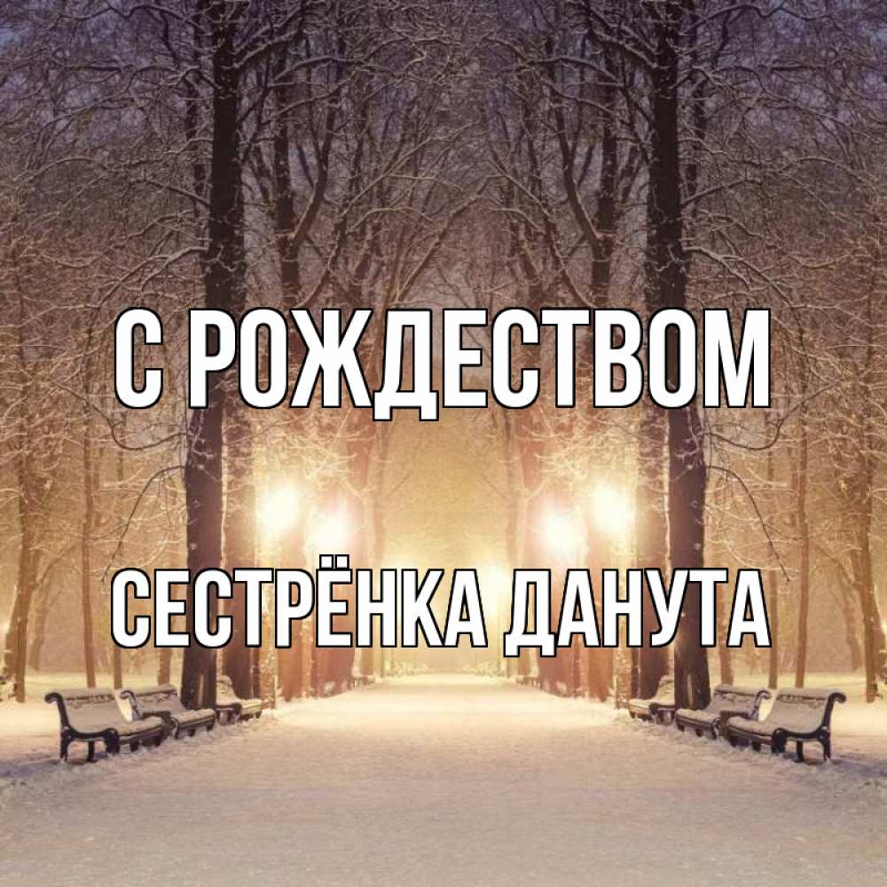 Открытка на каждый день с именем, Сестрёнка-Данута С рождеством зима, парк, фонарь, лес Прикольная открытка с пожеланием онлайн скачать бесплатно 