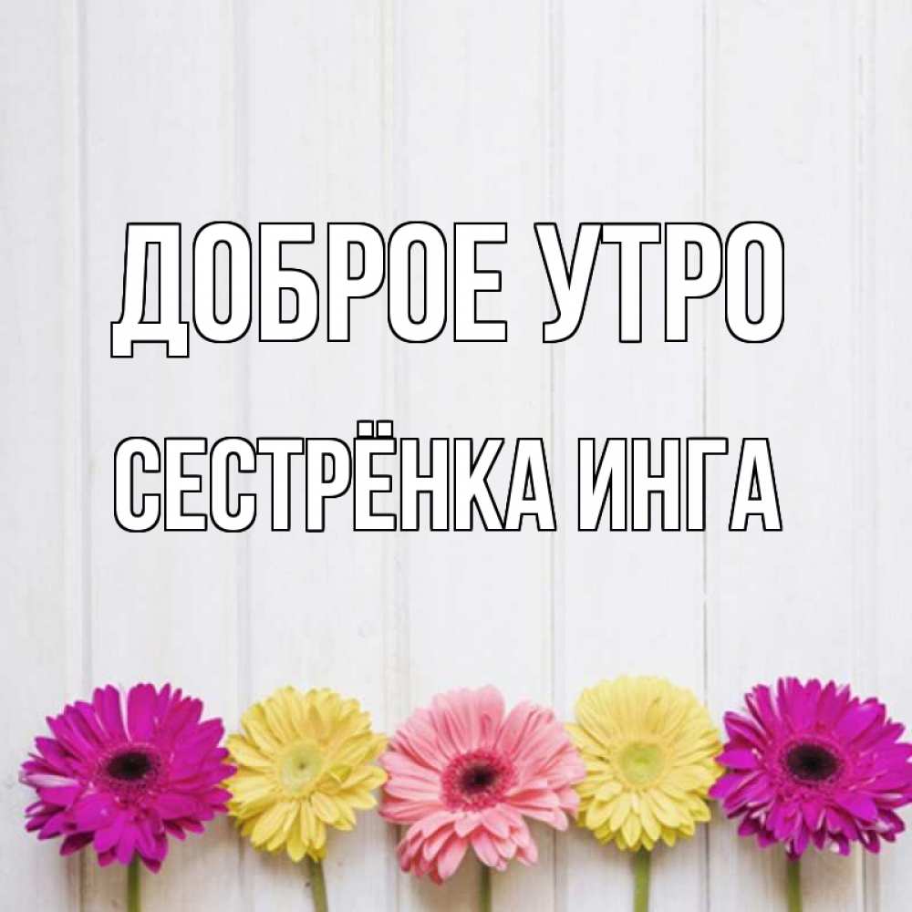 Открытка на каждый день с именем, Сестрёнка-Инга Доброе утро красный желтый и розовый цветок Прикольная открытка с пожеланием онлайн скачать бесплатно 
