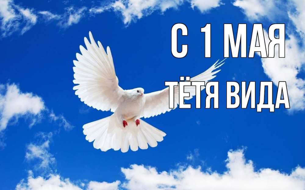 Открытка на каждый день с именем, Тётя-Вида С 1 мая С 1 мая 1 Прикольная открытка с пожеланием онлайн скачать бесплатно 