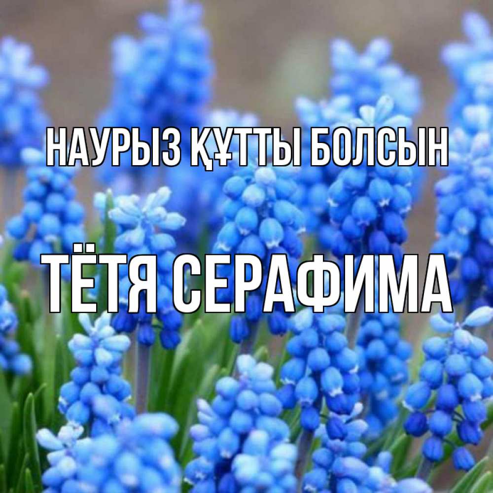 Картинка Наурыз құтты болсын, Тётя Серафима
