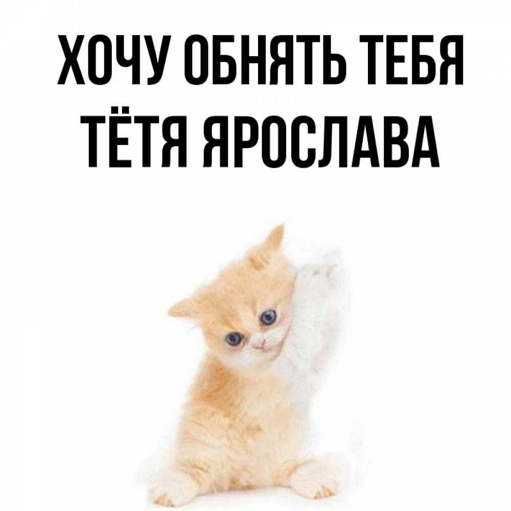 Открытка на каждый день с именем, Тётя-Ярослава Хочу обнять тебя я хочу очень скорее обнимаешек Прикольная открытка с пожеланием онлайн скачать бесплатно 