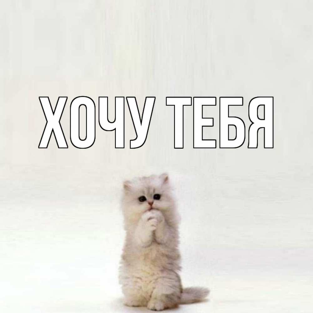 Открытка на каждый день с именем, Хочу-тебя Главная кот стоит на задних лапах Прикольная открытка с пожеланием онлайн скачать бесплатно 