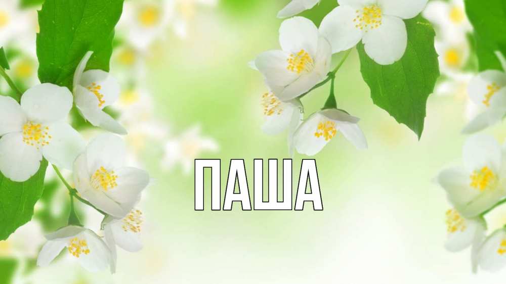Открытка на каждый день с именем, паша Главная С 1 мая Прикольная открытка с пожеланием онлайн скачать бесплатно 