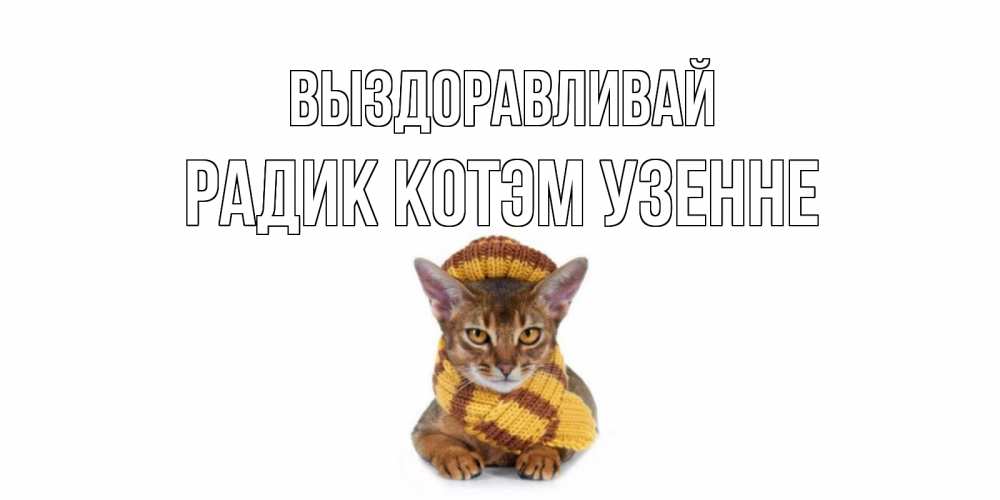 Катя выздоравливай картинки