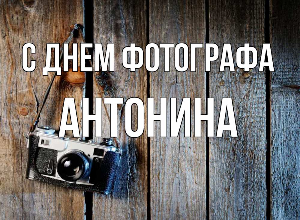 Открытка на каждый день с именем, Антонина С днем фотографа с днем фотографа Прикольная открытка с пожеланием онлайн скачать бесплатно 