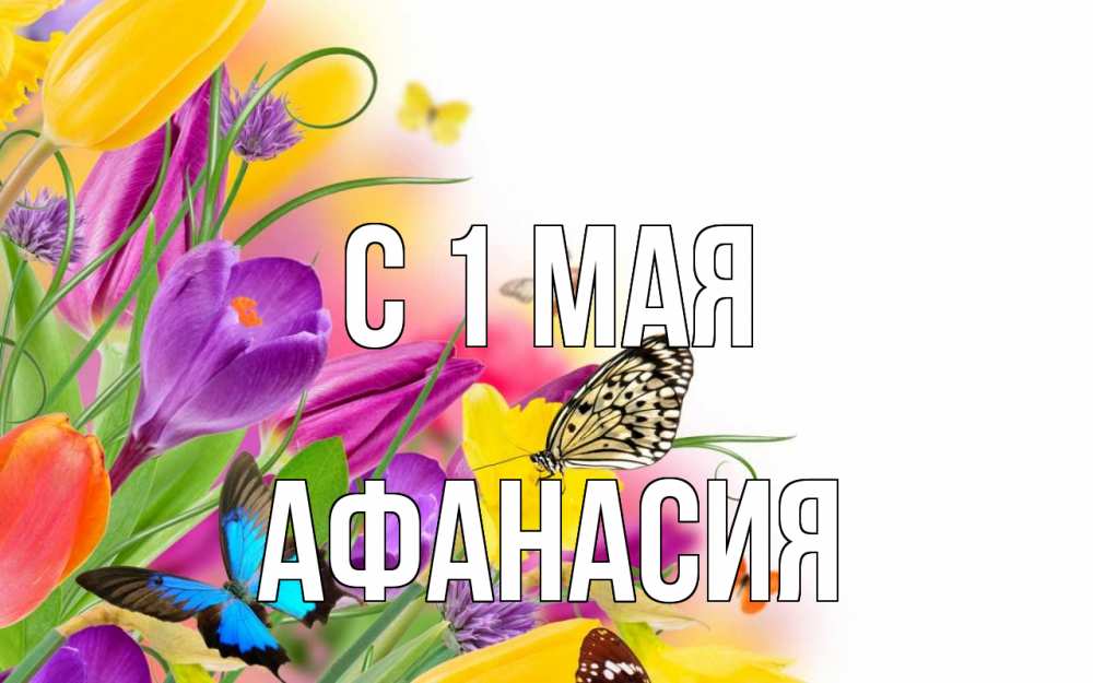 Открытка на каждый день с именем, Афанасия С 1 мая С 1 мая Прикольная открытка с пожеланием онлайн скачать бесплатно 