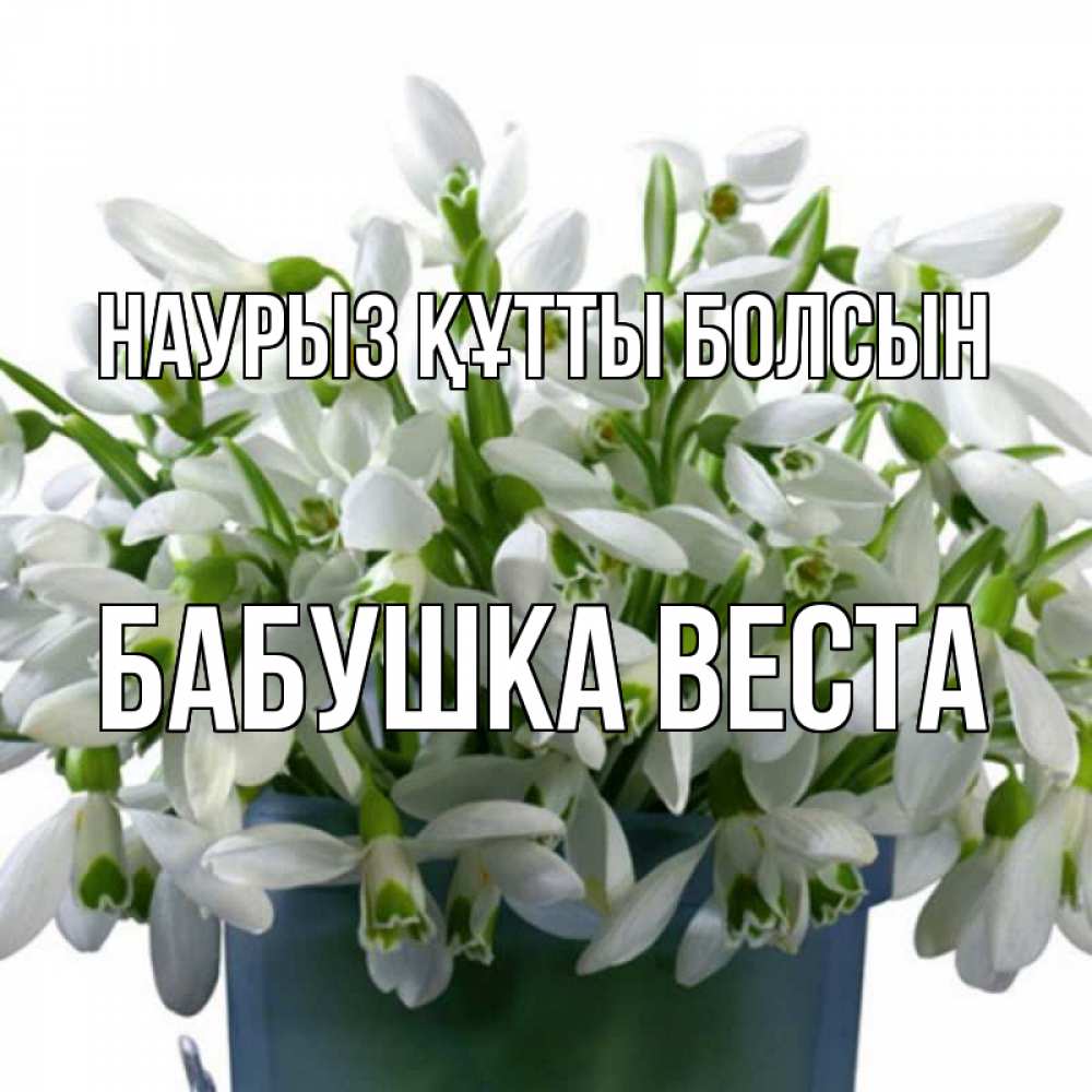 Открытка на каждый день с именем, Бабушка-Веста Наурыз құтты болсын цветы к наурызу Прикольная открытка с пожеланием онлайн скачать бесплатно 