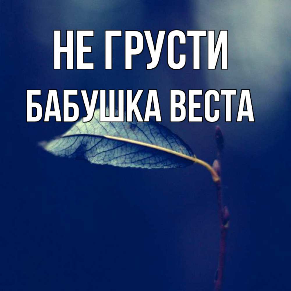 Открытка на каждый день с именем, Бабушка-Веста Не грусти растение Прикольная открытка с пожеланием онлайн скачать бесплатно 