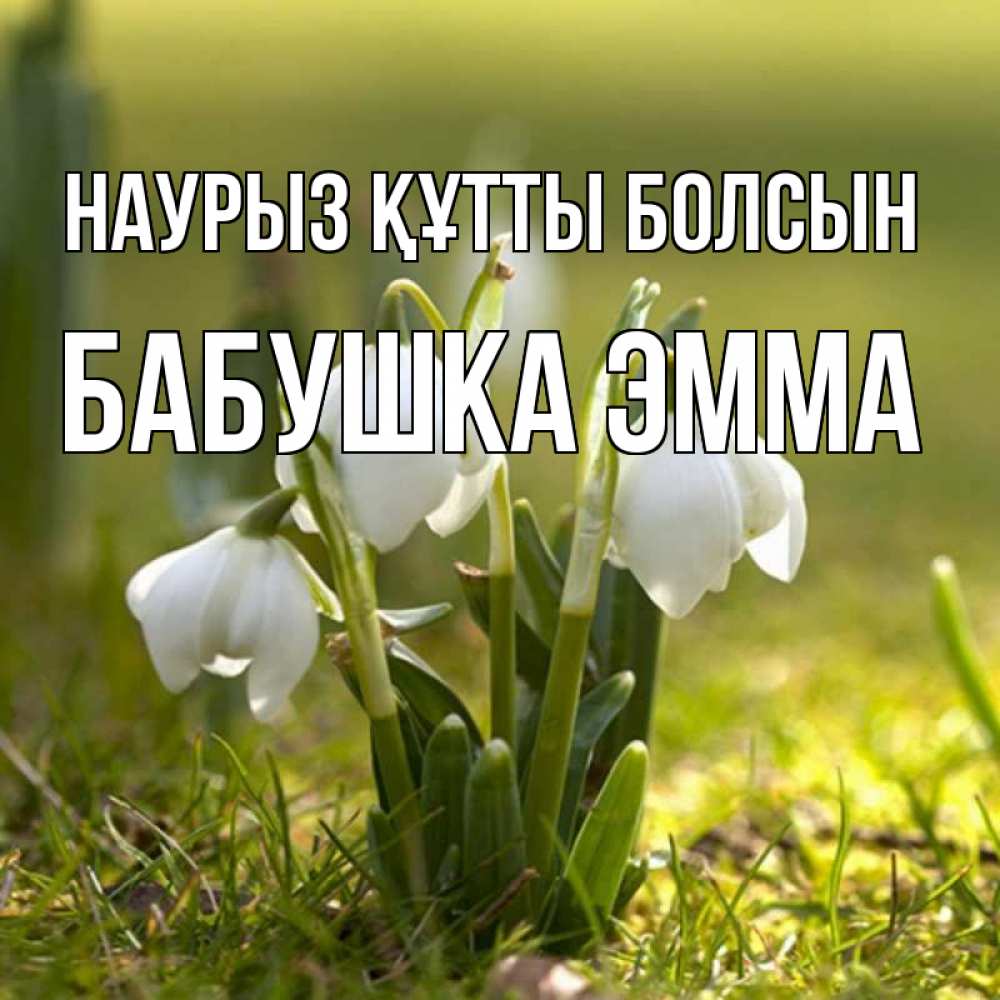 Открытка на каждый день с именем, Бабушка-Эмма Наурыз құтты болсын ранние цветы 2 Прикольная открытка с пожеланием онлайн скачать бесплатно 