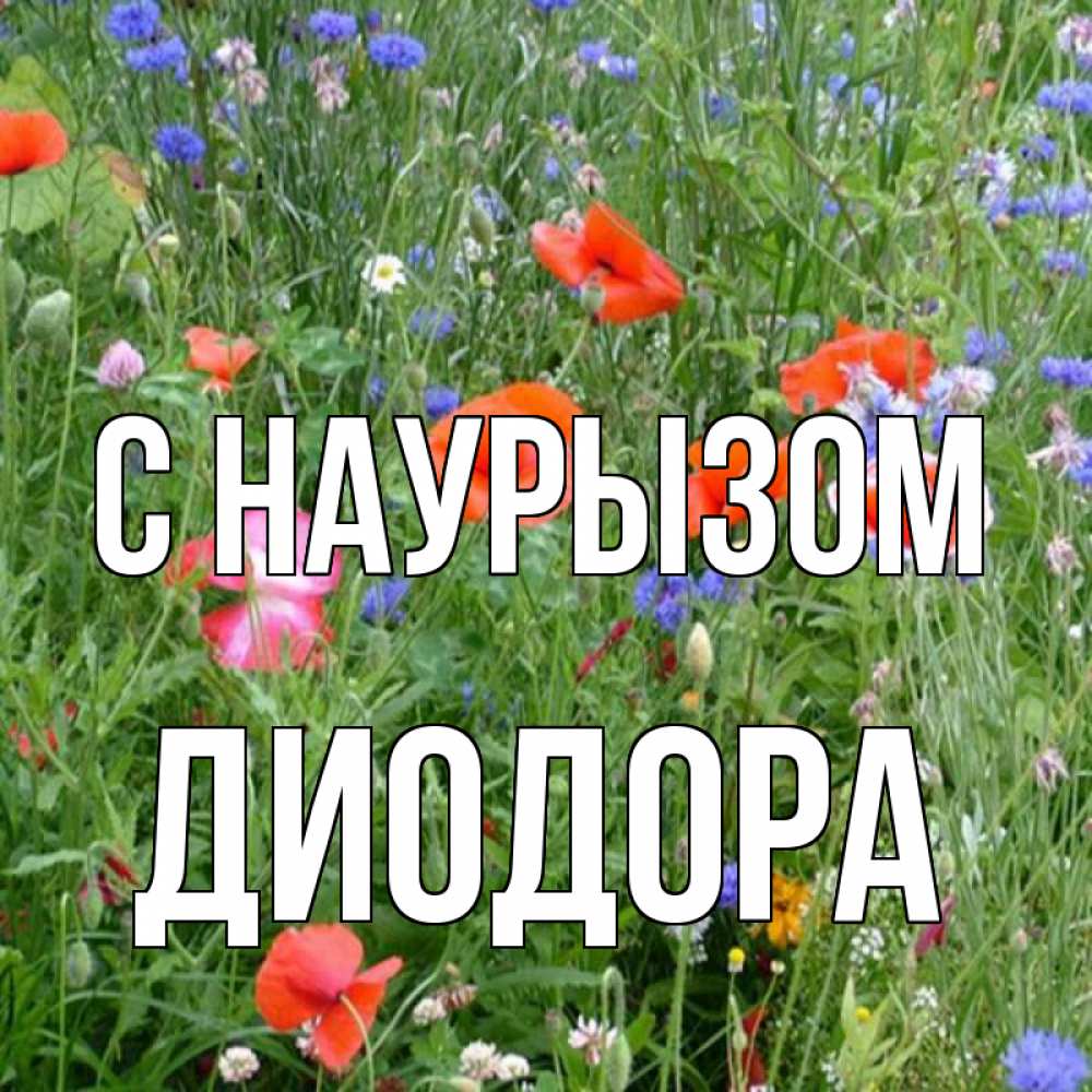 Открытка на каждый день с именем, Диодора С наурызом праздник весны наурыз супер открытка Прикольная открытка с пожеланием онлайн скачать бесплатно 