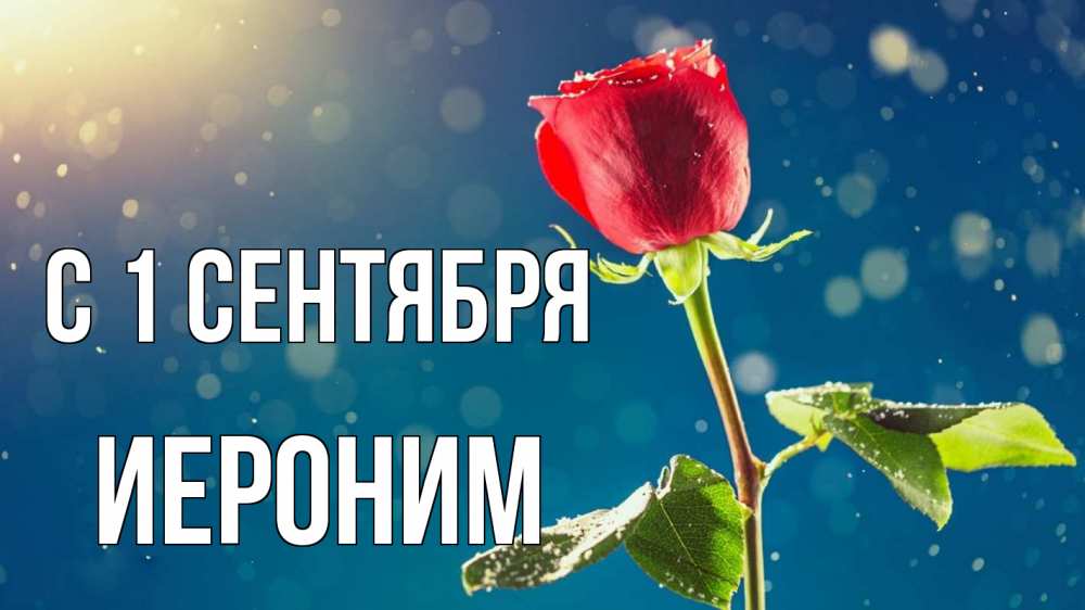Открытка на каждый день с именем, Иероним С 1 сентября с днем знаний Прикольная открытка с пожеланием онлайн скачать бесплатно 