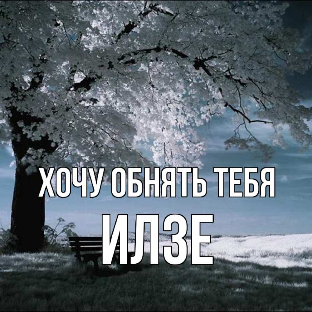 Открытка на каждый день с именем, Илзе Хочу обнять тебя дерево Прикольная открытка с пожеланием онлайн скачать бесплатно 