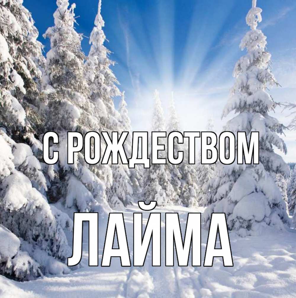 Открытка на каждый день с именем, Лайма С рождеством зима, лес Прикольная открытка с пожеланием онлайн скачать бесплатно 