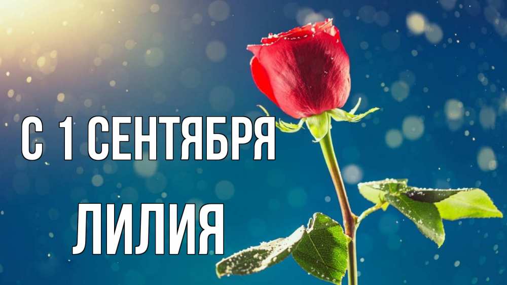 Открытка на каждый день с именем, Лилия С 1 сентября с днем знаний Прикольная открытка с пожеланием онлайн скачать бесплатно 