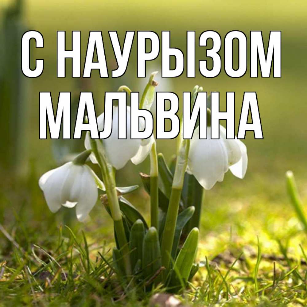 Открытка на каждый день с именем, Мальвина С наурызом ранние цветы 2 Прикольная открытка с пожеланием онлайн скачать бесплатно 