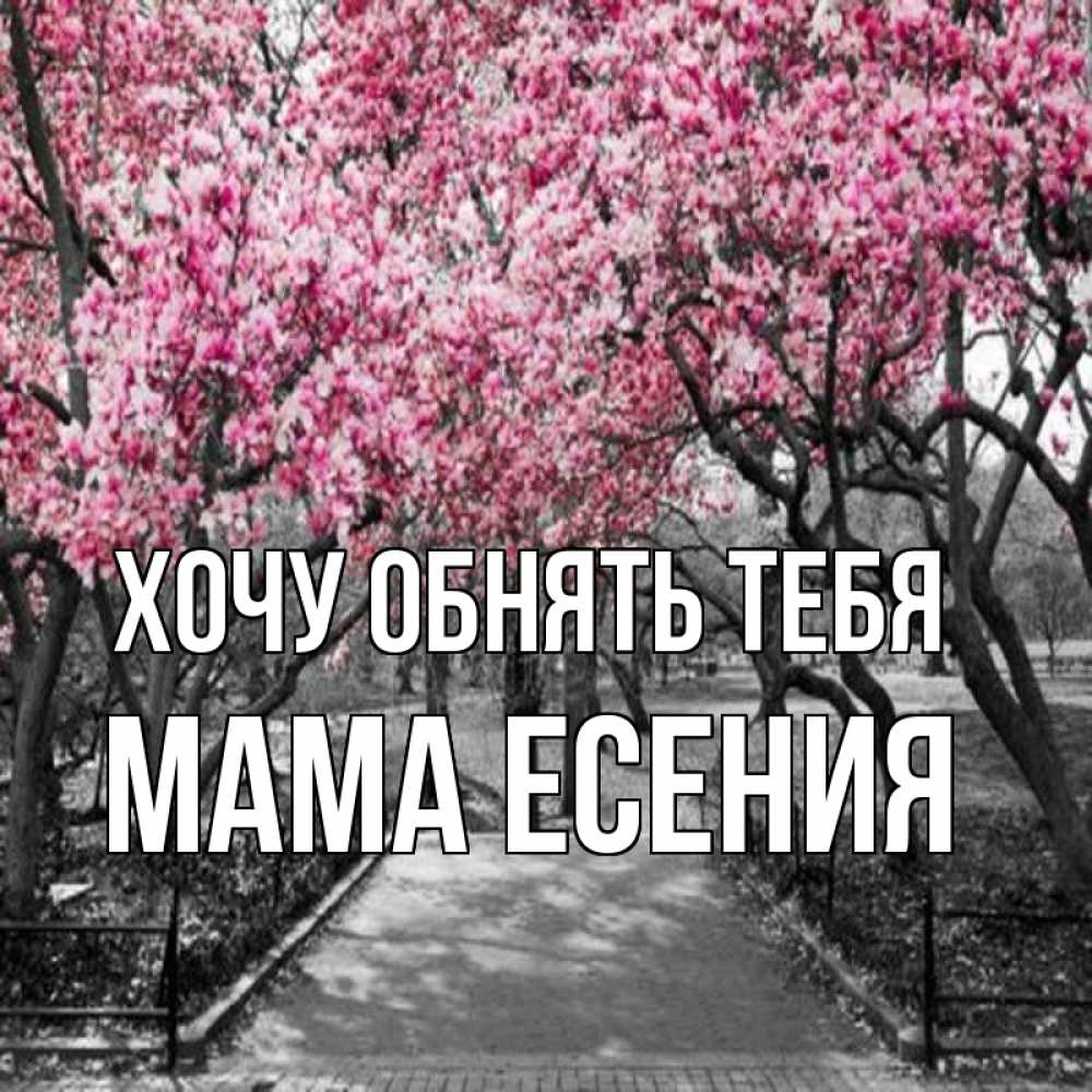 Открытка на каждый день с именем, Мама-Есения Хочу обнять тебя обработанное фото Прикольная открытка с пожеланием онлайн скачать бесплатно 