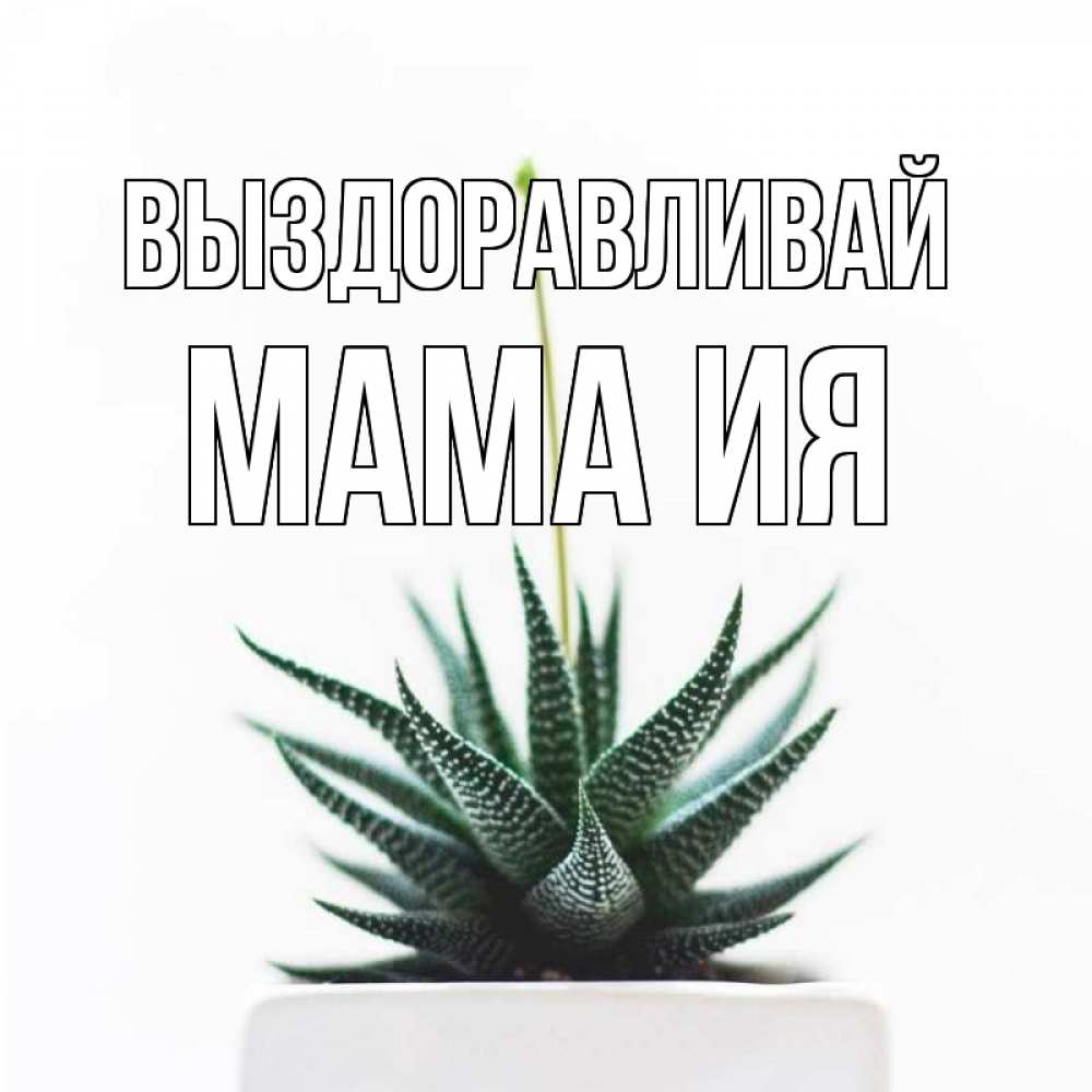 Открытка на каждый день с именем, Мама-Ия Выздоравливай короче это непонятная колючка Прикольная открытка с пожеланием онлайн скачать бесплатно 