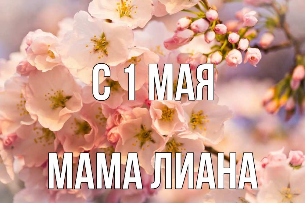 Открытка на каждый день с именем, Мама-Лиана С 1 мая С 1 мая Прикольная открытка с пожеланием онлайн скачать бесплатно 
