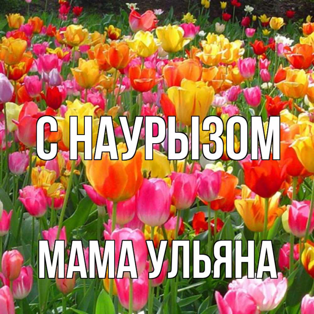 Открытка на каждый день с именем, Мама-Ульяна С наурызом праздник весны наурыз 4 Прикольная открытка с пожеланием онлайн скачать бесплатно 